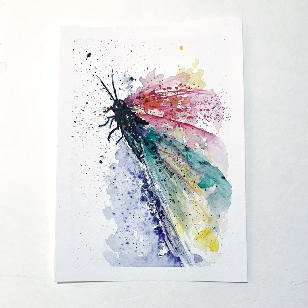 Watercolor Dragonfly 🦋🥀